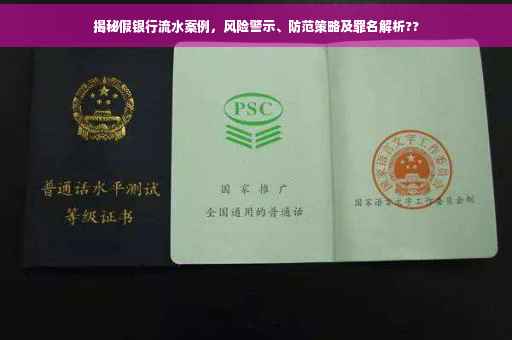 揭秘假银行流水案例，风险警示、防范策略及罪名解析??