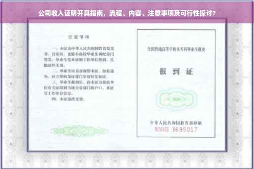 公司收入证明开具指南，流程、内容、注意事项及可行性探讨?