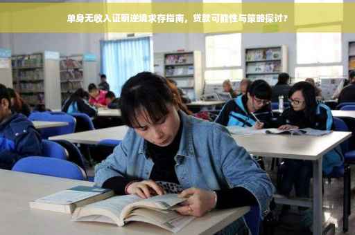 单身无收入证明逆境求存指南，贷款可能性与策略探讨?