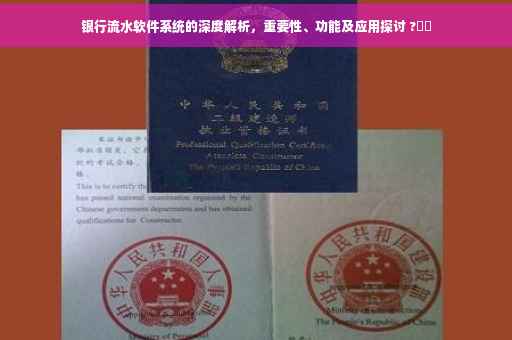 银行流水软件系统的深度解析，重要性、功能及应用探讨 ?⚡️
