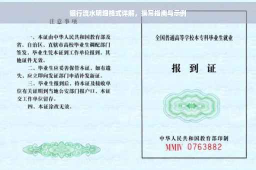 银行流水明细格式详解，撰写指南与示例