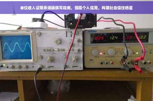 单位收入证明承诺函撰写指南，保障个人信用，构建社会信任桥梁