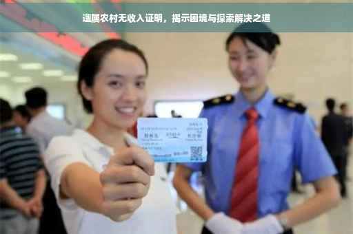 遗属农村无收入证明，揭示困境与探索解决之道