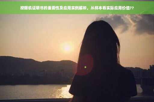 挖掘机证明书的重要性及应用实例解析，从样本看实际应用价值??