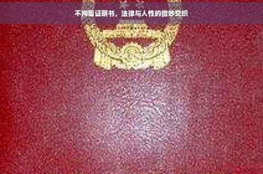 不拘留证明书，法律与人性的微妙交织
