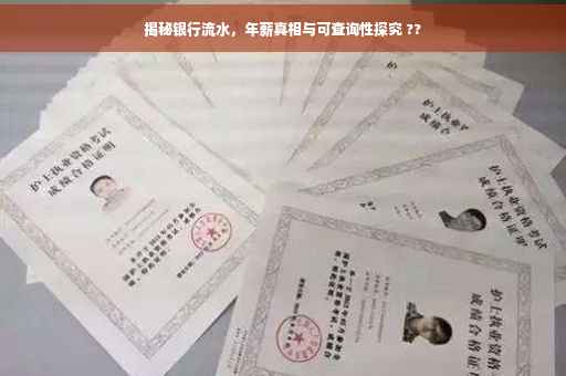 揭秘银行流水，年薪真相与可查询性探究 ??