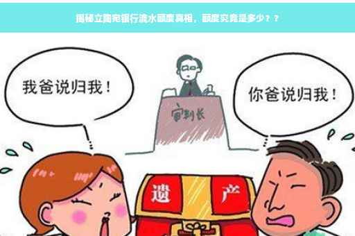 揭秘立陶宛银行流水额度真相，额度究竟是多少？?