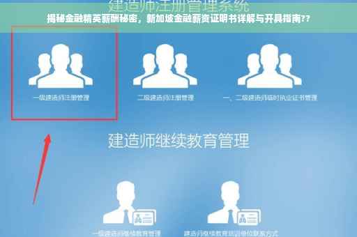 揭秘金融精英薪酬秘密，新加坡金融薪资证明书详解与开具指南??