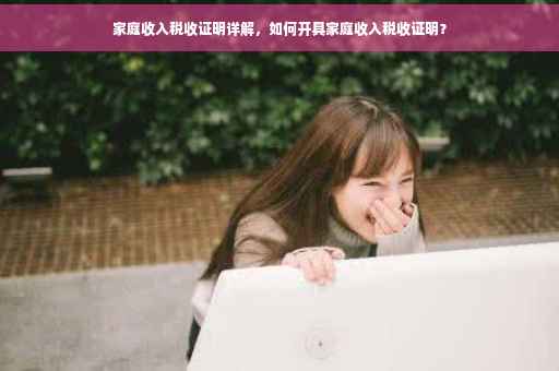 家庭收入税收证明详解，如何开具家庭收入税收证明？