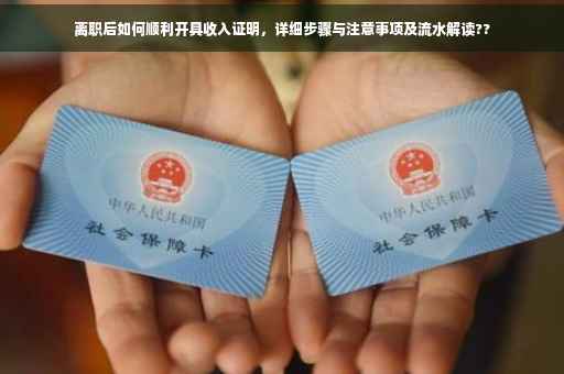 离职后如何顺利开具收入证明，详细步骤与注意事项及流水解读??