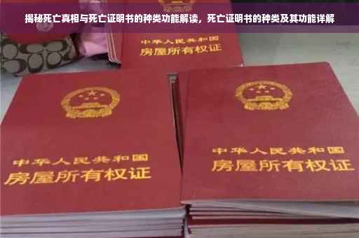 揭秘死亡真相与死亡证明书的种类功能解读，死亡证明书的种类及其功能详解