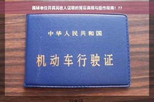 揭秘单位开具高收入证明的背后真相与操作指南！??