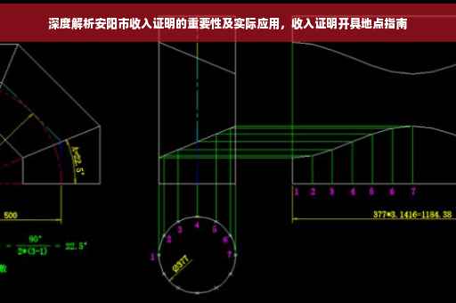深度解析安阳市收入证明的重要性及实际应用，收入证明开具地点指南
