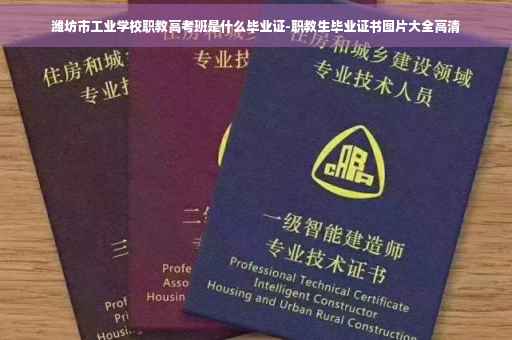 潍坊市工业学校职教高考班是什么毕业证-职教生毕业证书图片大全高清