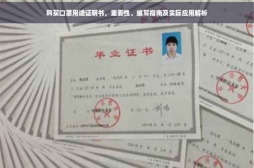 购买口罩用途证明书，重要性、编写指南及实际应用解析