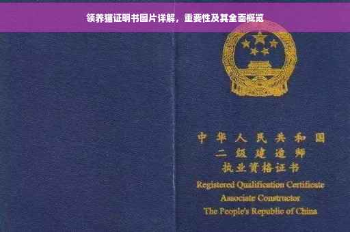 领养猫证明书图片详解，重要性及其全面概览