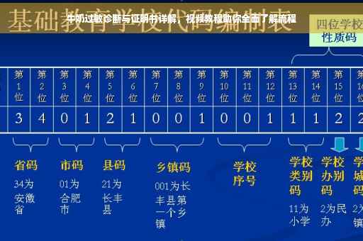 牛奶过敏诊断与证明书详解，视频教程助你全面了解流程