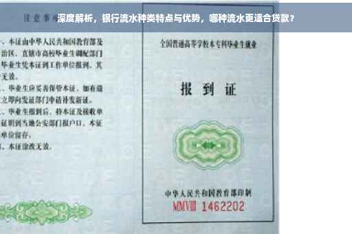 深度解析，银行流水种类特点与优势，哪种流水更适合贷款？