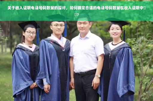 关于收入证明电话号码数量的探讨，如何确定合适的电话号码数量在收入证明中⚡️?
