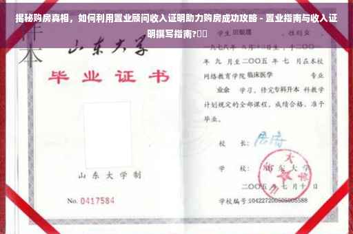 揭秘购房真相，如何利用置业顾问收入证明助力购房成功攻略 - 置业指南与收入证明撰写指南?⚡️