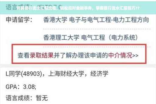 详解银行流水汇报流程，轻松应对金融事务，掌握银行流水汇报技巧??
