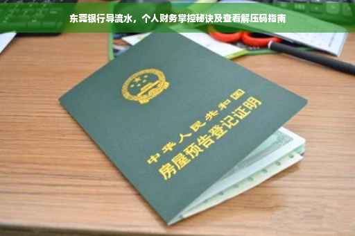 东莞银行导流水，个人财务掌控秘诀及查看解压码指南