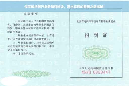 深度解析银行业务盈利秘诀，流水背后的赚钱之道揭秘！