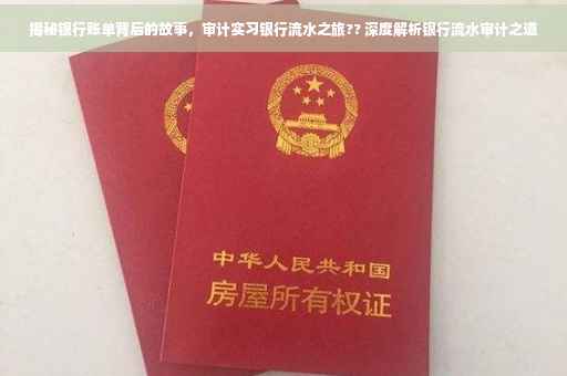揭秘银行账单背后的故事，审计实习银行流水之旅?? 深度解析银行流水审计之道