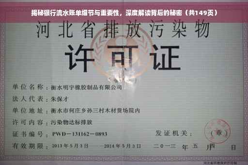揭秘银行流水账单细节与重要性，深度解读背后的秘密（共149页）