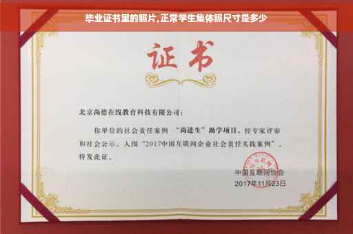 毕业证书里的照片,正常学生集体照尺寸是多少