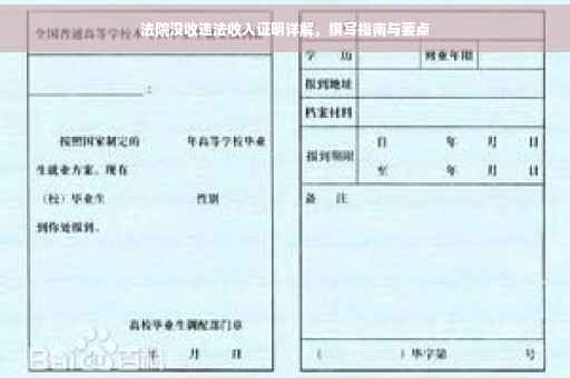 法院没收违法收入证明详解，撰写指南与要点