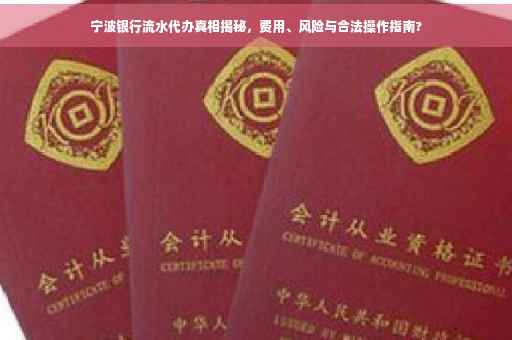 宁波银行流水代办真相揭秘，费用、风险与合法操作指南?