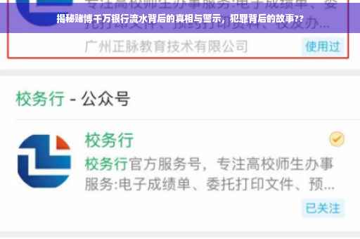 揭秘赌博千万银行流水背后的真相与警示，犯罪背后的故事??