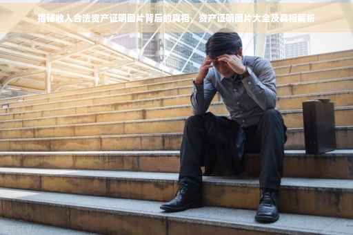 揭秘收入合法资产证明图片背后的真相，资产证明图片大全及真相解析
