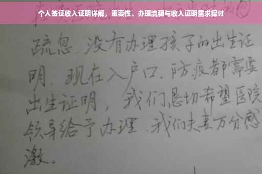 个人签证收入证明详解，重要性、办理流程与收入证明需求探讨