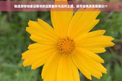 物流异常快递证明书的深度解析与应对之道,撰写指南及实用建议?? 物流异常快递证明书的深度解析与应对之道,撰写指南及实用建议??