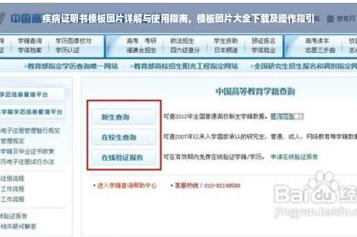疾病证明书模板图片详解与使用指南，模板图片大全下载及操作指引