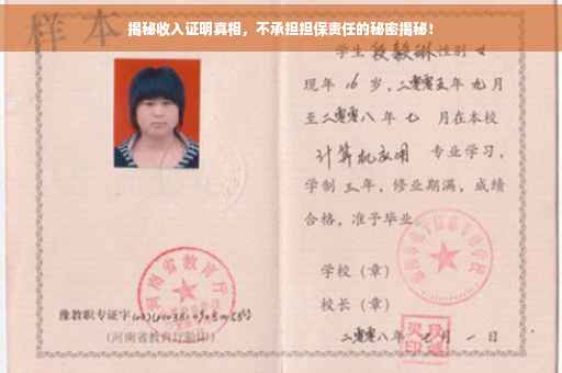 揭秘收入证明真相，不承担担保责任的秘密揭秘！