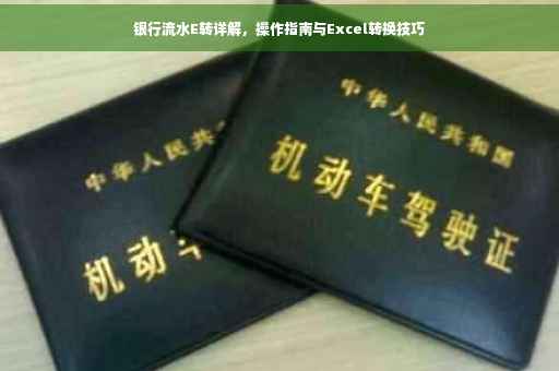 银行流水E转详解，操作指南与Excel转换技巧