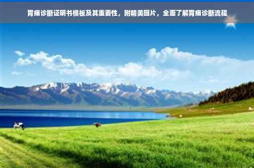 胃痛诊断证明书模板及其重要性，附精美图片，全面了解胃痛诊断流程