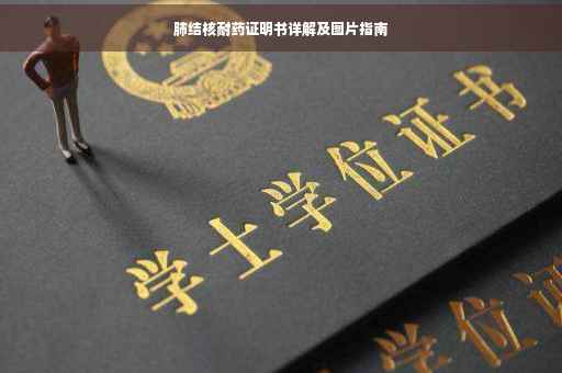 肺结核耐药证明书详解及图片指南