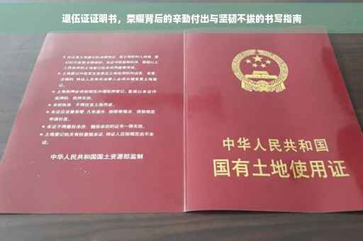 退伍证证明书，荣耀背后的辛勤付出与坚韧不拔的书写指南