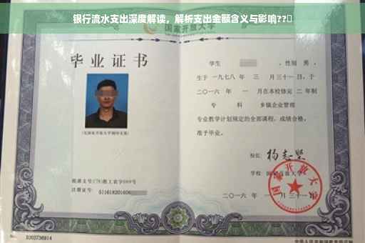 银行流水支出深度解读，解析支出金额含义与影响??️