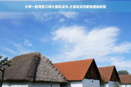 大学一般考到几级计算机证书,计算机证书都有哪些类型