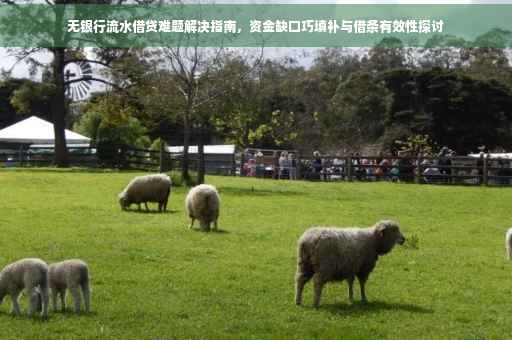 无银行流水借贷难题解决指南，资金缺口巧填补与借条有效性探讨