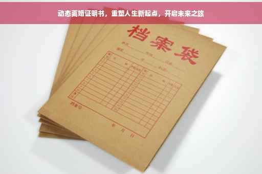 动态离婚证明书，重塑人生新起点，开启未来之旅