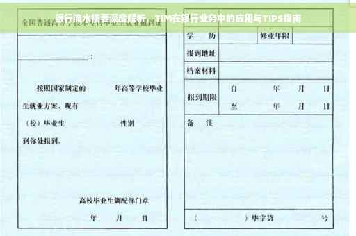 银行流水摘要深度解析，TIM在银行业务中的应用与TIPS指南