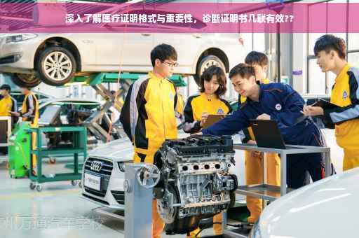 深入了解医疗证明格式与重要性，诊断证明书几联有效??