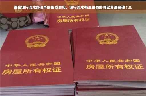 揭秘银行流水备注中的提成真相，银行流水备注提成的真实写法揭秘 ?⚡️