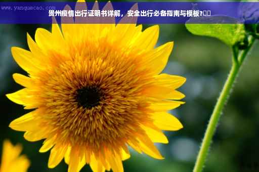 贵州疫情出行证明书详解，安全出行必备指南与模板?⚡️